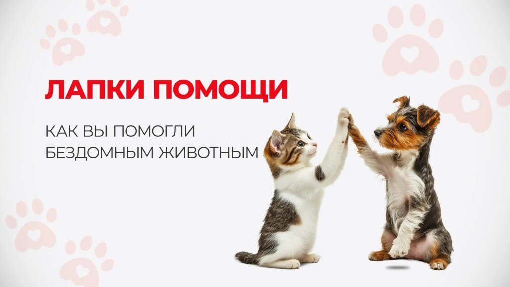 rMULbU3228ir30ysSVczRe4hPt7Co4HyOsItlzMV.jpg